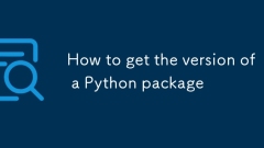 Pythonパッケージのバージョンを取得する方法