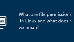 Apakah kebenaran fail di Linux dan apakah maksud RWX?
