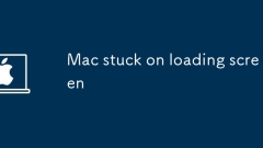 Mac steckte auf dem Laden des Bildschirms
