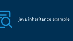 Beispiel für Java -Vererbung