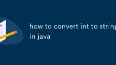 So konvertieren Sie INT in Java in String in Java
