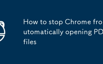 So verhindern Sie, dass Chrome automatisch PDF -Dateien ?ffnet