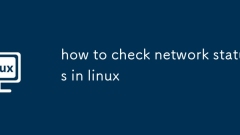 cara memeriksa status rangkaian di linux