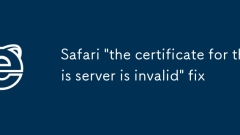 Safari 'the certificate for this server is invalid' fix