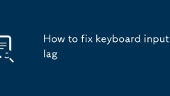 How to fix keyboard input lag