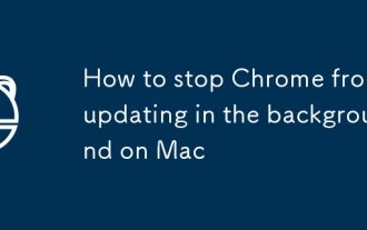 Cara menghentikan Chrome daripada mengemas kini di latar belakang di Mac