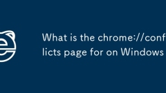What is the chrome://conflicts page for on Windows