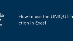 How to use the UNIQUE function in Excel
