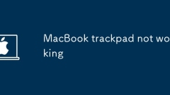 MacBook Trackpad ne fonctionne pas