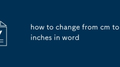 how to change from cm to inches in word