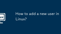 Comment ajouter un nouvel utilisateur dans Linux?