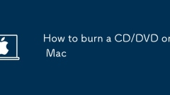 Mac?? CD/DVD? ??? ??
