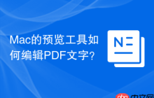 Mac的预览工具如何编辑PDF文字？
