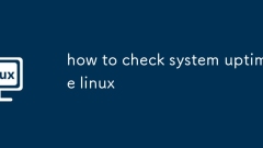 ??? UPTIME LINUX? ???? ??