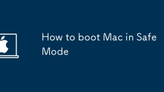 ?? ???? Mac? ???? ??