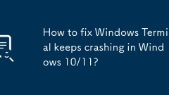 Bagaimana untuk memperbaiki terminal Windows terus terhempas di Windows 10/11?