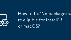 Comment réparer 'aucun package n'a été éligible pour l'installation' pour macOS?