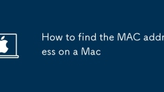 So finden Sie die MAC -Adresse auf einem Mac