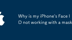 為什麼我的iPhone的臉部ID不使用口罩