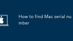 How to find Mac serial number