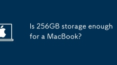 Is 256GB storage enough for a MacBook?