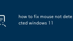 Cara Memperbaiki Tetikus Tidak Mengesan Windows 11
