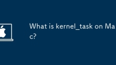 What is kernel_task on Mac?