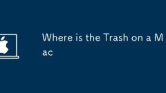 Di mana sampah di mac