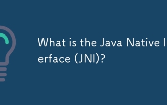 What is the Java Native Interface (JNI)?