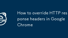 Chrome?? HTTP ?? ??? ???? ??