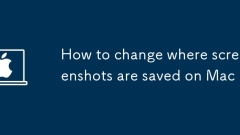 How to change where screenshots are saved on Mac