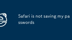 Safari? ? ????? ???? ????