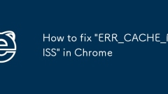 How to fix 'ERR_CACHE_MISS' in Chrome