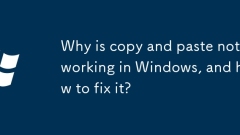 Pourquoi Copy and Coller ne fonctionne-t-il pas dans Windows et comment le réparer?
