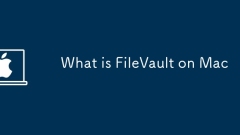 Was ist Filevault auf Mac