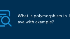 Was ist Polymorphismus in Java mit Beispiel?