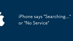 iPhone says 'Searching...' or 'No Service'