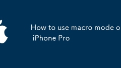 How to use macro mode on iPhone Pro