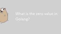 Golang的零值是多少?