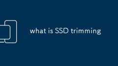 what is SSD trimming