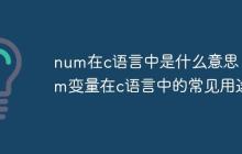 num在c语言中是什么意思 num变量在c语言中的常见用途