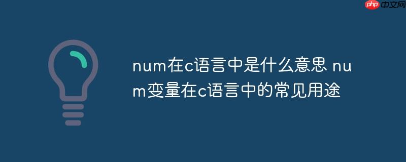 num在c语言中是什么意思 num变量在c语言中的常见用途