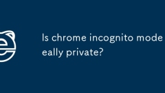 Le mode Chrome Incognito est-il vraiment privé?