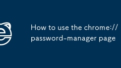 如何使用chrome:// password-manager頁面