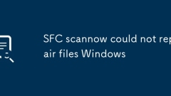SFC Scannow? ?? Windows? ?? ? ? ????