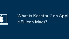 What is Rosetta 2 on Apple Silicon Macs?