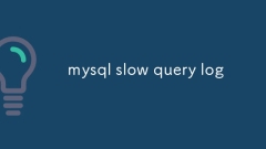 MySQL 슬로우 쿼리 로그