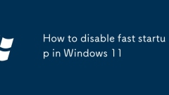 Windows 11?? ?? ??? ?????? ??