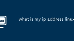 Apakah alamat ip saya linux