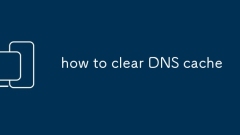 DNS ??? ??? ??